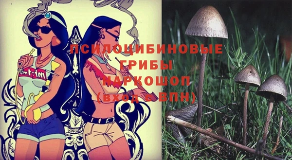 хмурый Абдулино