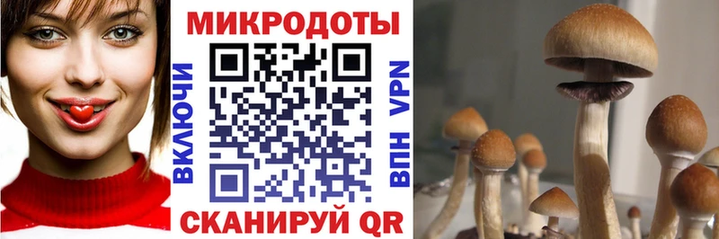 Псилоцибиновые грибы мицелий  Новокузнецк 